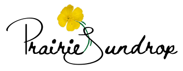 cropped-cropped-cropped-Logo-w.o-back.png